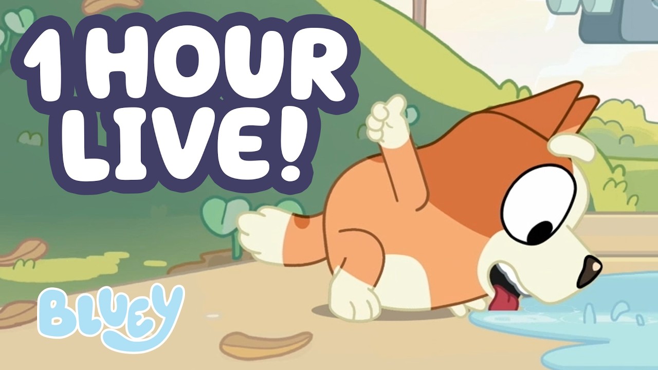 The Enduring Appeal of Bluey: Why This Animated Show Captivates Families