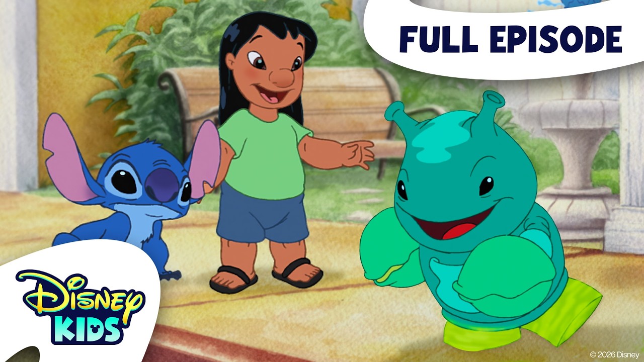 Understanding Experiment 629: Ploot and Environmental Responsibility in ...