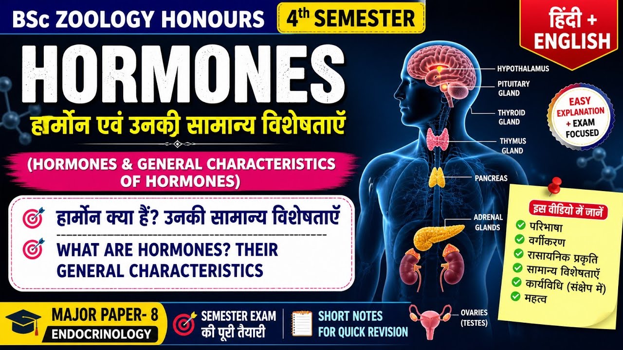 Hormones Explained: Types, Functions, and Regulation for Zoology Students